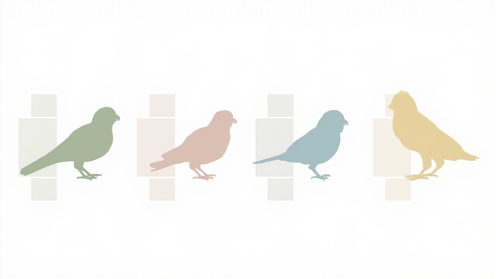 Minimum cage size chart for finch species — zebra, society, owl, and Gouldian finches with recommended length, width, and height in inches