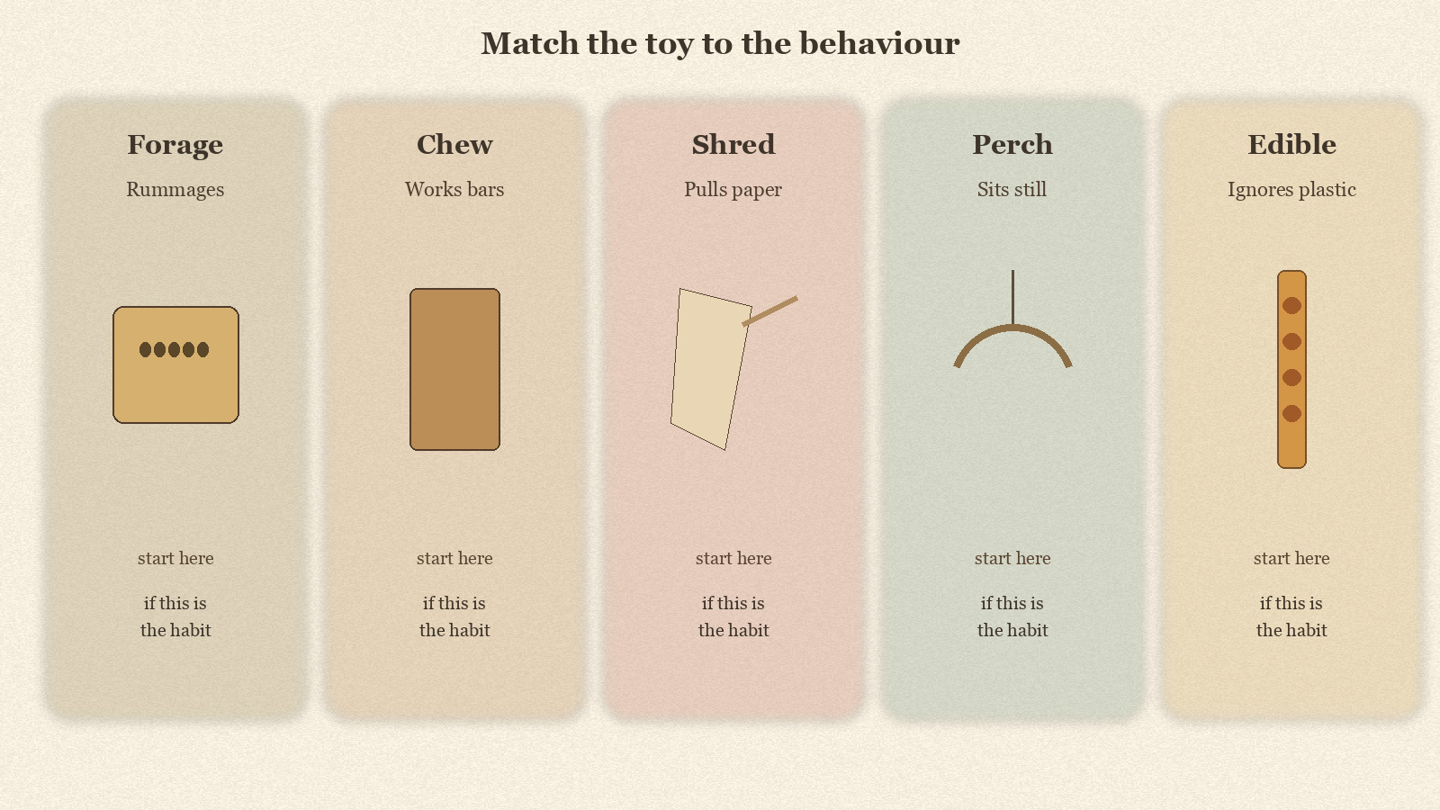 Toy type decision chart mapping bird behaviour to forage, chew, shred, perch and edible toys