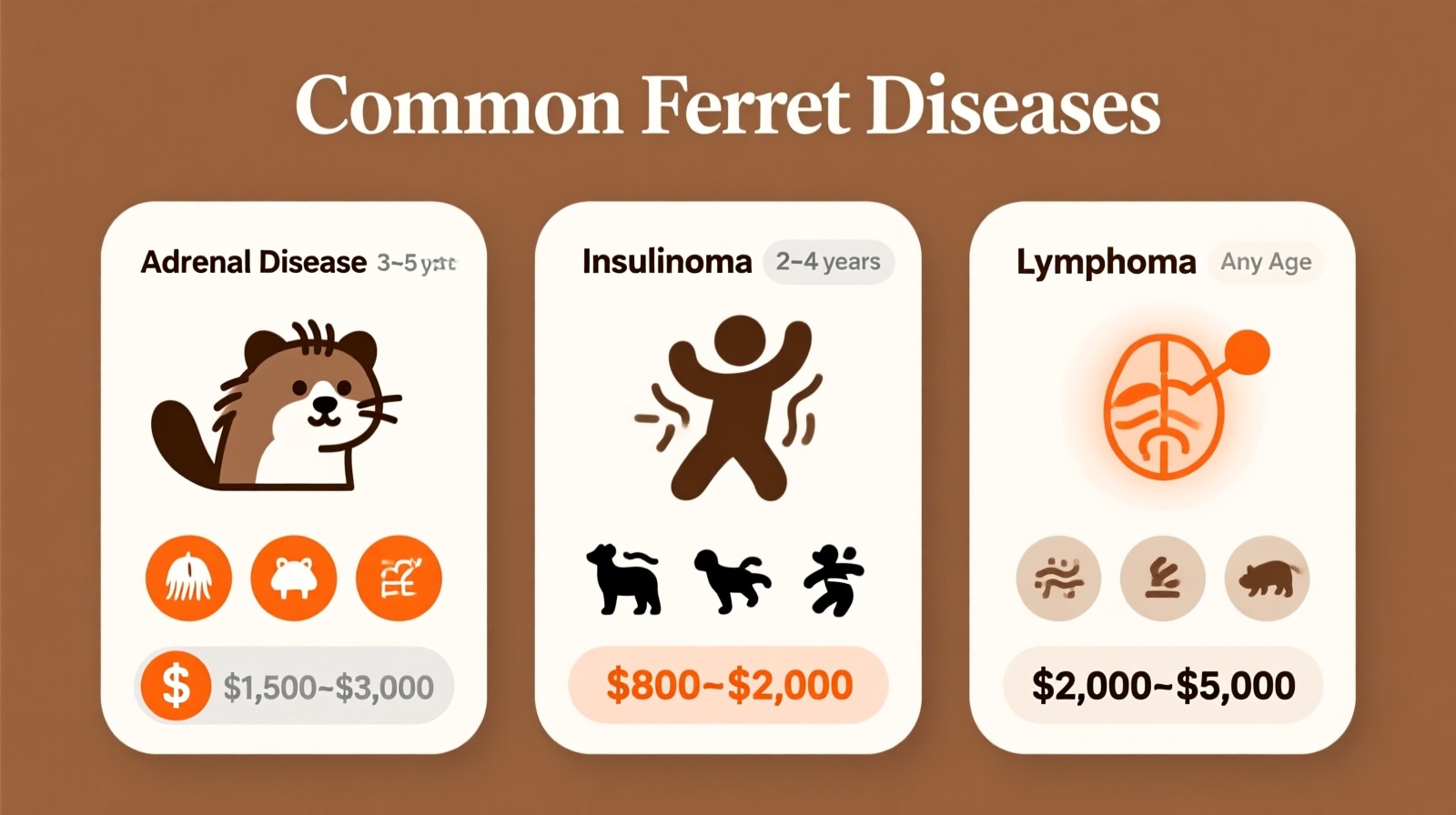 Common Ferret Diseases