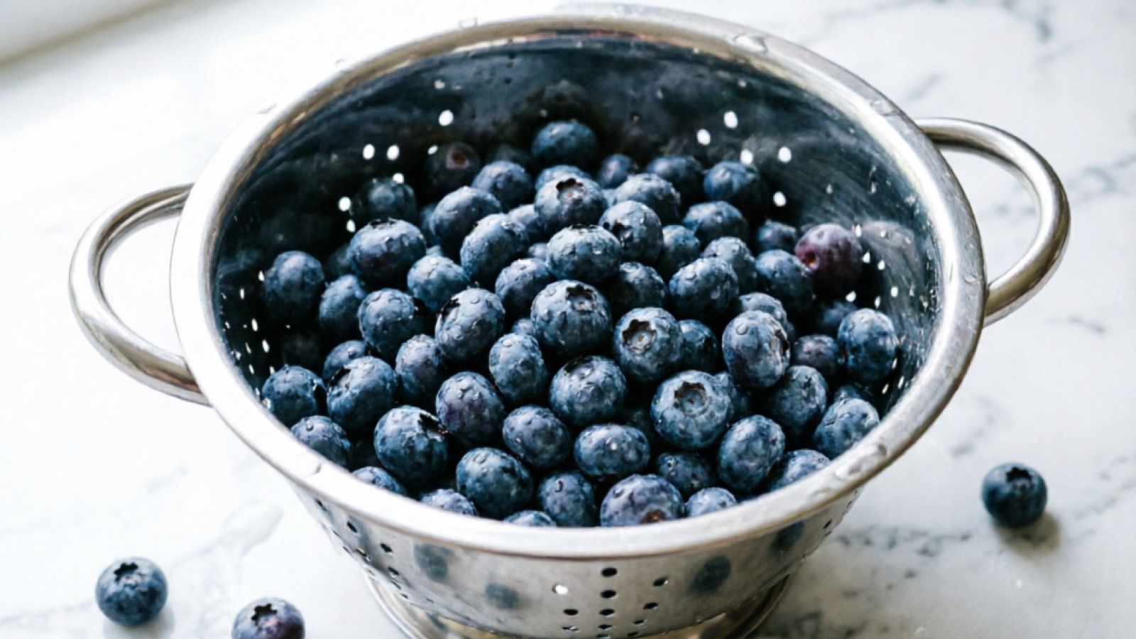 Fresh blueberries for guinea pigs