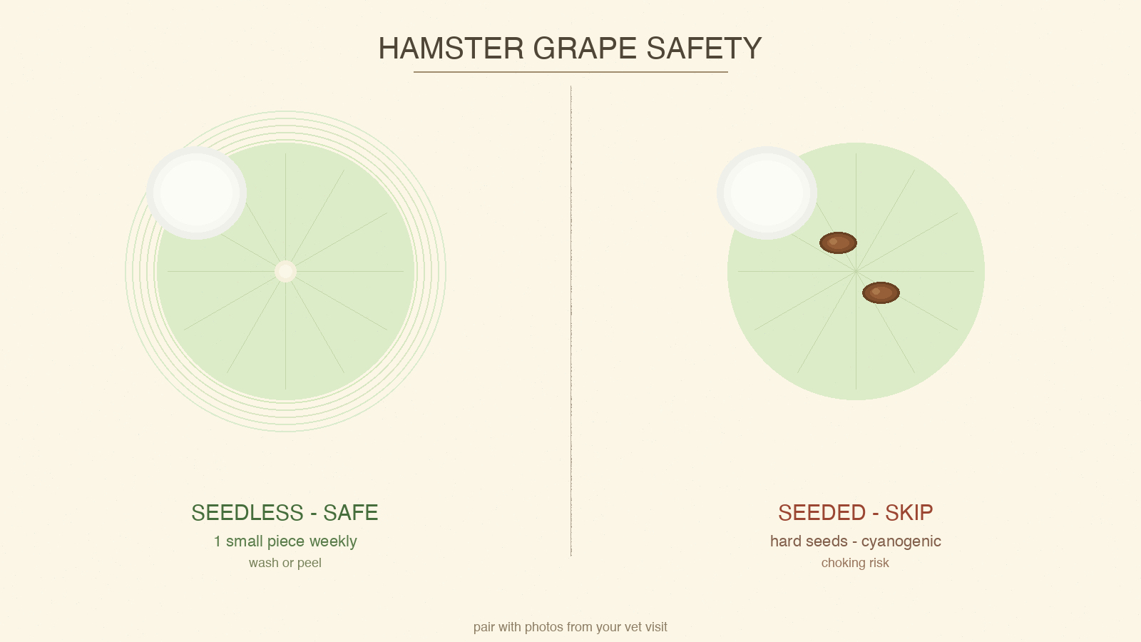 Cross-section of a grape showing seedless pulp beside a comparison seeded variety, with the seed highlighted