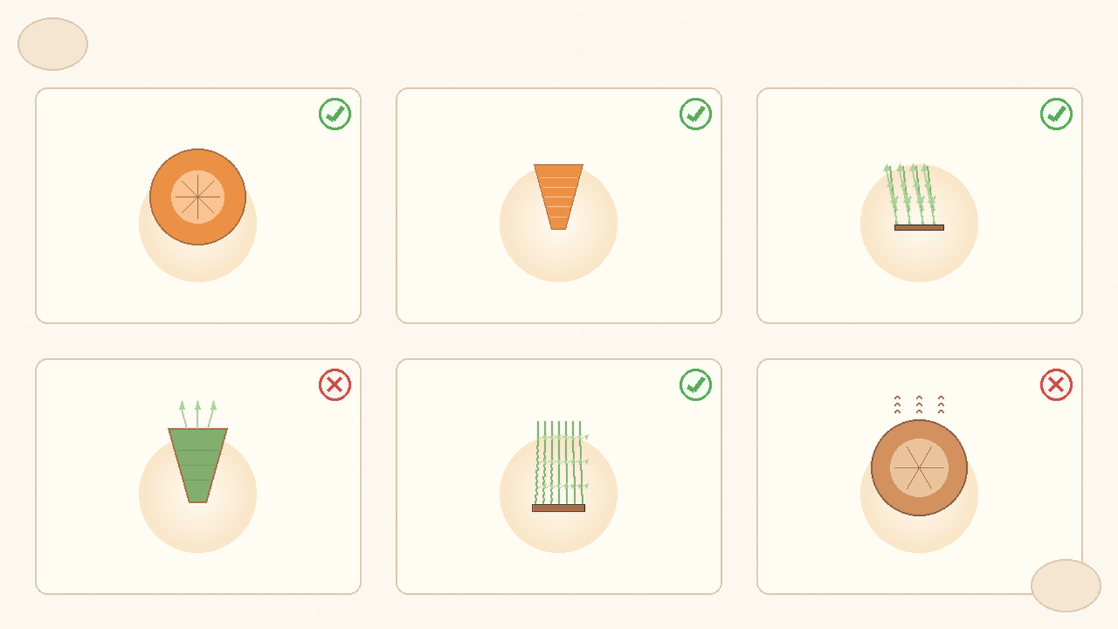 Carrot risk matrix infographic showing safe vs risky parts of a carrot plant